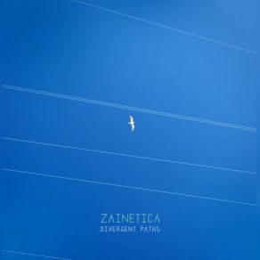 Download track Divergent Paths Zainetica