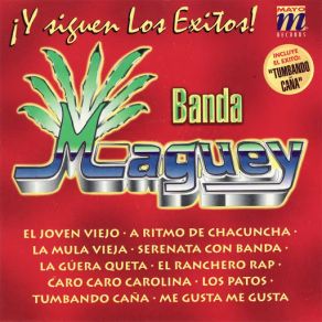 Download track La Mula Vieja Banda Maguey