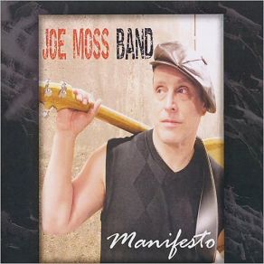 Download track Never Did Anything The Joe Moss Band, Joe Moss