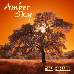 Download track Amber Sky Tom Holmes