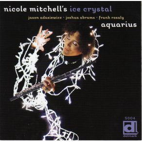 Download track Fred Anderson Nicole Mitchell'S Ice Crystal