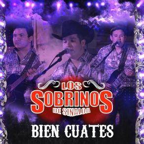 Download track La Siembra En El Cerro (Live) Los Sobrinos De Sinaloa