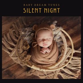 Download track Baby Sleep Music Baby Dream Tunes