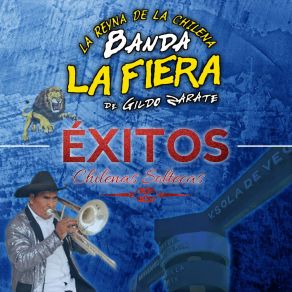 Download track Serenata Huasteca Banda La Fiera De Gildo Zárate