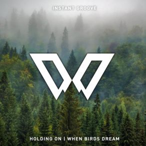 Download track When Birds Dream Instant Groove