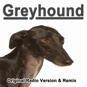 Download track Greyhound (Extended Version) Swedish House Generation