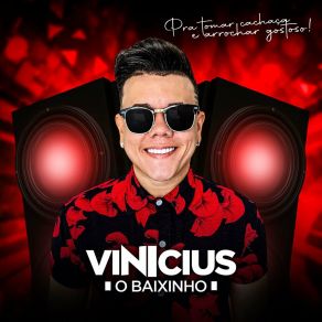 Download track Não Me Deixe Agora Vinicius O Baixinho Oficial