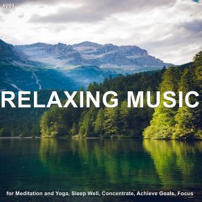 Download track Joy Relaxing Music