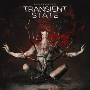 Download track In Motion Transient State