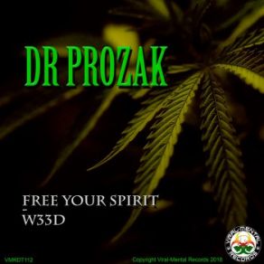 Download track Free Your Spirit (Original Mix) Dr Prozak