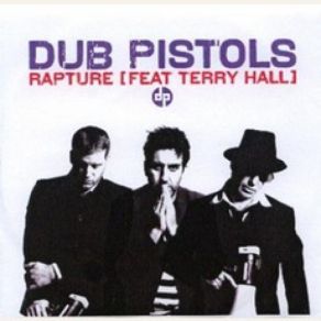 Download track Rapture (Prins Thomas Diskomiks Mix) Terry Hall, The Dub Pistols