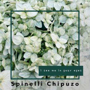 Download track I See Me In Your Eyes Spinelli Chipuzo