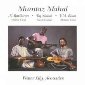 Download track Rolling Of The Sea Taj Mahal, Vishwa Mohan Bhatt, Narasimhan Ravikiran