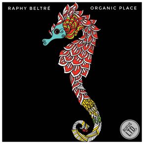 Download track Organic Place (Original Mix) Raphy Beltre