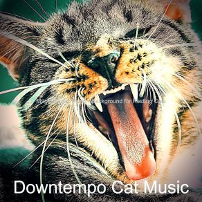 Download track Relaxing Ambiance For Resting Cats Downtempo Cat Music