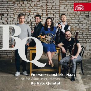 Download track Wind Quintet, Op. 10 III. Balo Eccentrico-Ritmo Marcato Belfiato Quintet