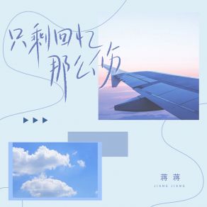 Download track 只剩回忆那么伤 蒋蒋