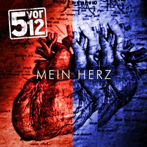 Download track Mein Herz (Live Im Yuca) 5vor12