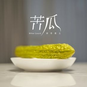 Download track 苦瓜 排骨教主