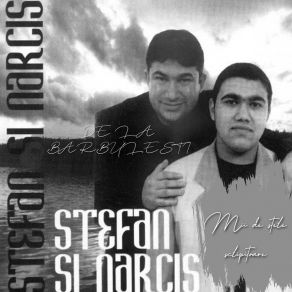 Download track Mii De Stele Sclipitoare Narcis De La Barbulesti