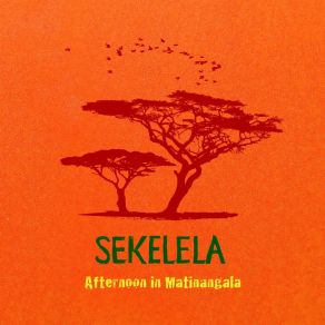 Download track Walking On African Ground Sekelela