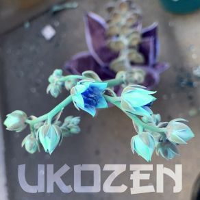 Download track Water Breathing Ukozen