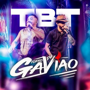 Download track Forró Bodó Forró Du Gavião