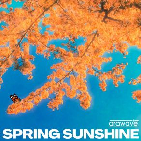 Download track Spring Sunshine (Extended Version) Arawave