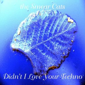 Download track Infectious Rhythm The Smear Cats