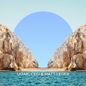 Download track Fly Home Matt Leger