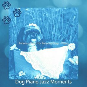 Download track Funky Solo Piano Jazz - Vibe For Keeping Dogs Relaxed Dog Jazz Moments