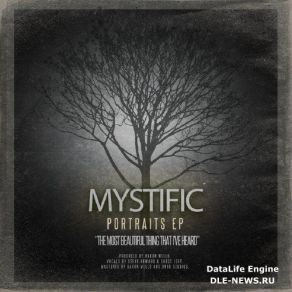 Download track Portraits (Ghost Loft Vocals) (Original Mix) Mystific