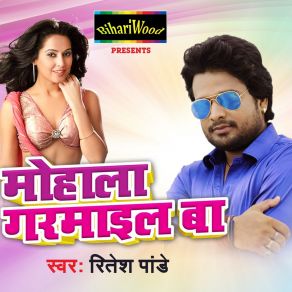 Download track Sawarka E Sakhi Ritesh Pandey