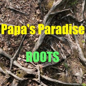 Download track Blues Police Man Papa's Paradise