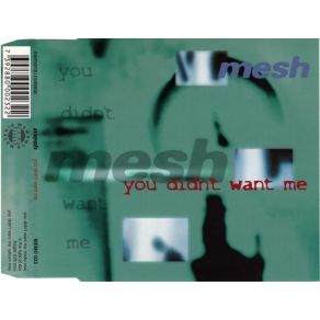 Download track You Didn'T Want Me (Radio Mix)  Mesh