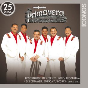 Download track No Se Vivir Sin Ti Conjunto Primavera