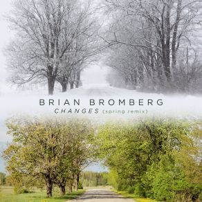 Download track Changes (Spring Remix) Brian Bromberg