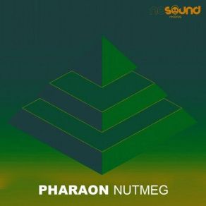 Download track Algophobia (Original Mix) Pharaon