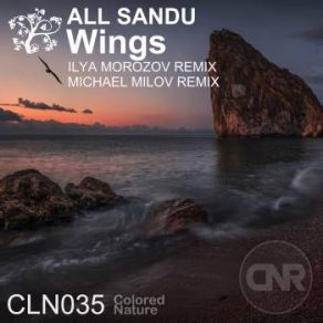 Download track Wings (Michael Milov Remix) All Sandu