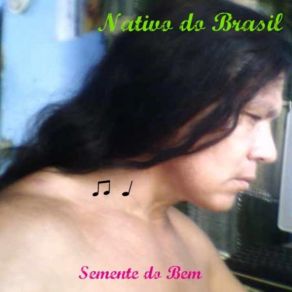 Download track Fantasia Nativo Do Brasil