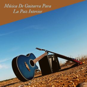 Download track Paisajes Sonoros David Melodías Relajantes