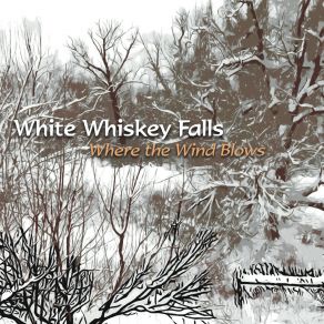 Download track PTSD Love Song White Whiskey Falls