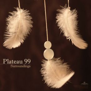 Download track Confound Plateau 99