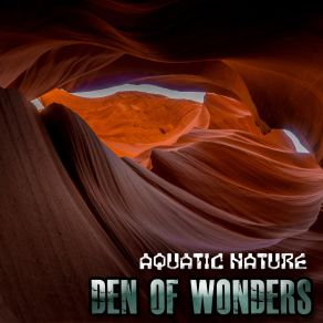 Download track Hidden Details (Jazzy Mix) Aquatic Nature4tunes