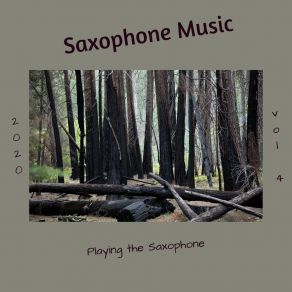 Download track Playing The Saxophone Saxophone Music