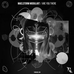 Download track Are You There (Original Mix) Maelstorm Modulart