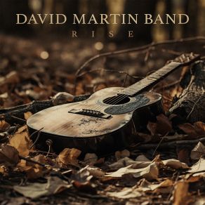 Download track Ash And Stone David Martin Band