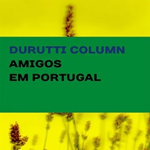 Download track Vestido Amarrotado The Durutti Column