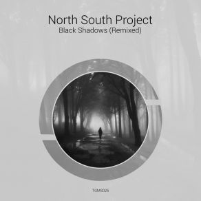 Download track Black Shadows (Buba Remix) North South ProjectBuba