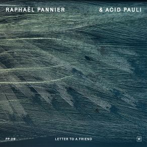 Download track The Wonder Of An Overshadowing Presence Acid Pauli, Raphaël Pannier